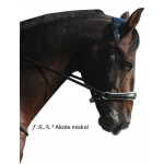 Alizee Mistral Sidepull Bitless Bridle & Reins